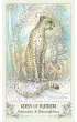 Spiritsong Tarot, karty do wr�enia