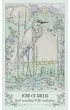 Spiritsong Tarot, karty do wr�enia