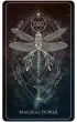 Talisman Oracle