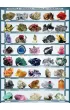 Puzzle 1000 el. Minerals Eurographics