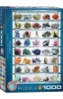 Puzzle 1000 el. Minerals Eurographics