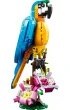 LEGO Creator Egzotyczna papuga 31136