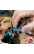 Puzzle 1000 el. Old Friends CherryPazzi