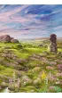 Le�ne rozdanie: Dartmoor Rebel