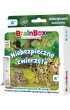 BrainBox: Pocket. Niebezpieczne zwierz�ta Rebel