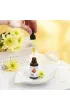Aura Herbals Witamina ADEK suplement diety 30 ml