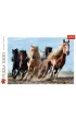 Puzzle 1000 el. Galopuj�ce konie Trefl