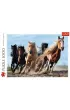 Puzzle 1000 el. Galopuj�ce konie Trefl