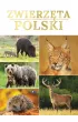 Zwierz�ta Polski