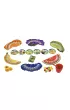 Fruit Cup Egmont