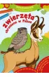 Maluszkowe malowanie. Zwierz�ta chronione w Polsce
