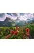 Puzzle 2000 el. Krajobraz Ravensburger