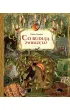 Co buduj� zwierz�ta?