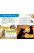 Ksi��ka edu. B5 Ma�a encyklopedia. Psy SKRZAT 077315