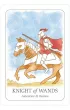 Simplicity Tarot, karty do wr�enia