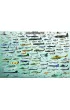 Puzzle 2000 el. Samoloty i helikoptery Eurographics