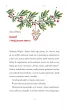 Ksi��ka B5 OP. TW Magiczne �wi�ta SKRZAT 079111
