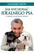 Jak wychowa� idealnego psa