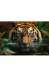 Puzzle 1000 el. Dziki Tygrys Trefl