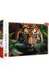 Puzzle 1000 el. Dziki Tygrys Trefl