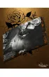 Broken Whispers (barwione brzegi)