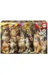 Puzzle 500 Koci�ta i Ptaki 113395 Educa