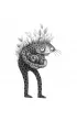 Serce �yrafy