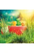 Smart Games Jab�ko Puzzler (PL) IUVI Games
