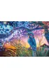 Puzzle 1000 el. Kookaburra Nightindayle 30561 CherryPazzi