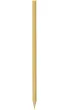 Bic Kredki Eco Evolution Stripes 24 szt.
