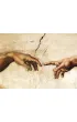 Puzzle 1000 el. Stworzenie Adama, Micha� Anio� Eurographics