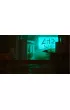 Gra PlayStation 4 Stray