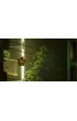 Gra PlayStation 4 Stray