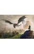 Puzzle Gaming 1000 el. Elder Scrolls: Elsweyr Good Loot