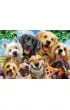Puzzle 500 el. Psy robi� selfie Schmidt