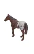 Figurka Ko� Appaloosa ogier Kasztanowaty