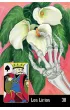 La Santa Muerte Lenormand, karty
