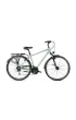 Romet Rower trekkingowy WAGANT 5 2023 zielono-br�zowy 19 M