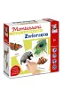 Zwierz�ta. Montessori. Karty sensoryczne. Kapitan Nauka