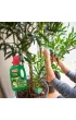 Substral Nawz + humus do rolin zielonych 500 ml
