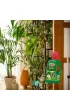Substral Nawz + humus do rolin zielonych 500 ml
