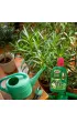 Substral Nawz + humus do rolin zielonych 500 ml