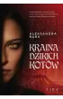 Kraina dzikich kotów – Aleksandra  Bąba – okładka ebook