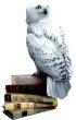 Harry Potter i Czytacz My�li Rebel