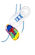 Zawi�� buty Multigra