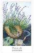 The Herbcrafter’s Tarot, Tarot Zielarza