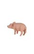 Figurka �winia  prosi�