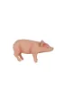 Figurka �winia  prosi�