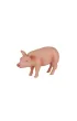 Figurka �winia  prosi�