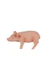 Figurka �winia  prosi�